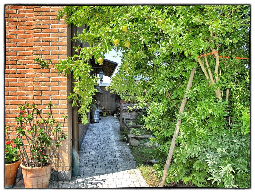 La Corte Del Macero Guest House Castelfranco Emilia Exterior photo